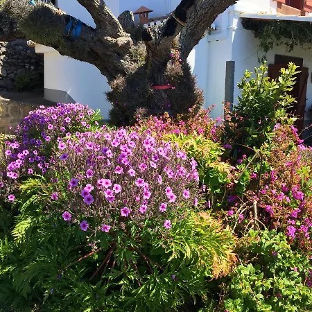 Sea-view House In With Garden And Terrace *