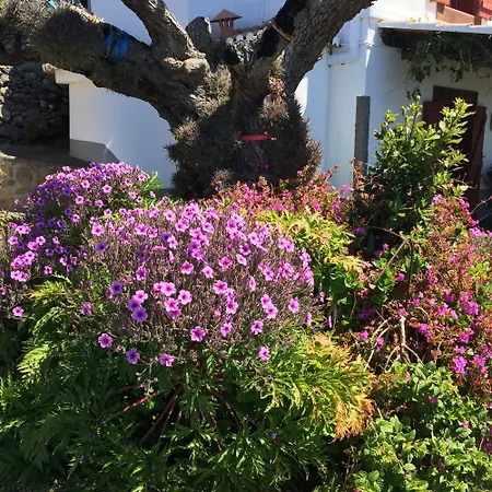 Holiday home Sea-view House In With Garden And Terrace *