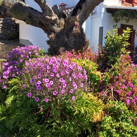 Sea-view House In With Garden And Terrace Faja da Ovelha