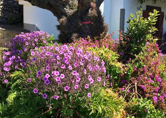 Sea-view House In With Garden And Terrace *